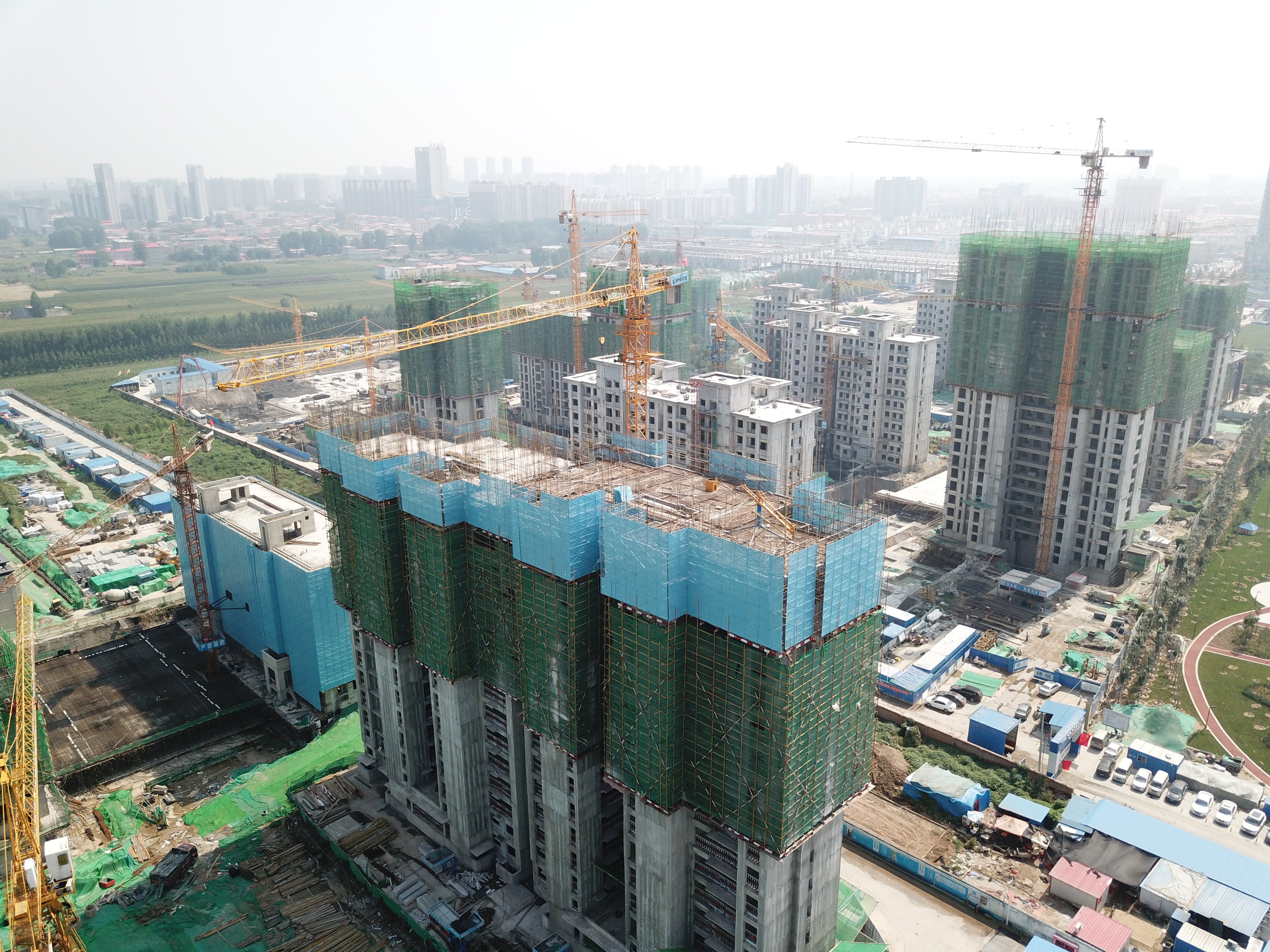 河北LD官方网站（中国）租赁,河北塔机出租,河北LD官方网站（中国）出租