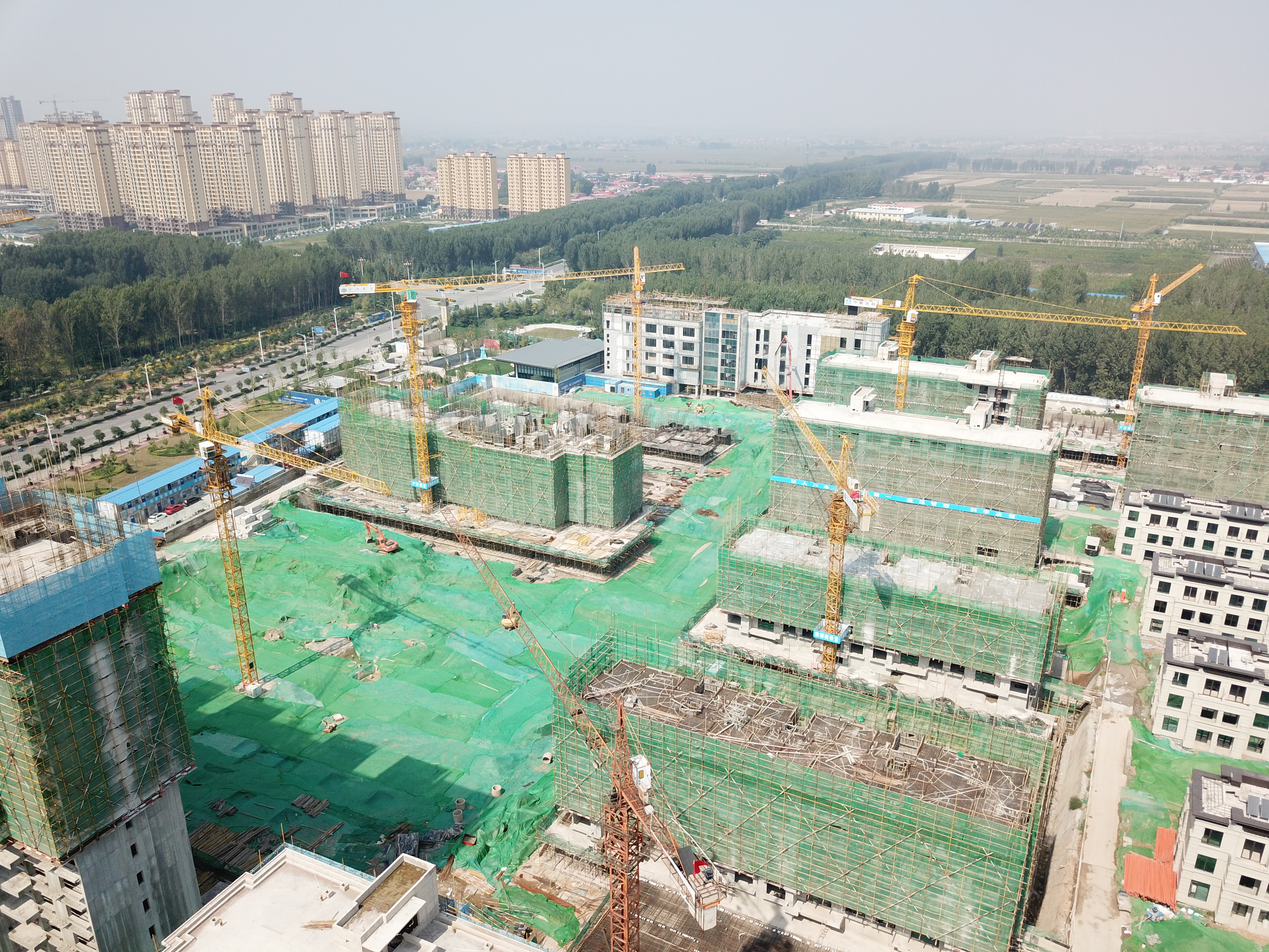 河北LD官方网站（中国）租赁,河北塔机出租,河北LD官方网站（中国）出租