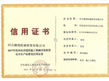 河北LD官方网站（中国）租赁,河北塔机出租,河北LD官方网站（中国）出租