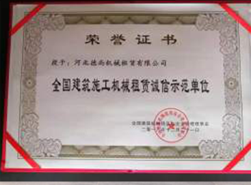 河北LD官方网站（中国）租赁,河北塔机出租,河北LD官方网站（中国）出租